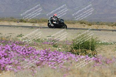 media/Feb-04-2023-SoCal Trackdays (Sat) [[8a776bf2c3]]/Turn 15 Inside Blooming (1050am)/